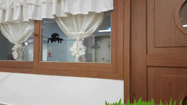 유치원 퐁당집놀이 2차 동영상 자료(2)-[탐색]줄타는 거미 동영상