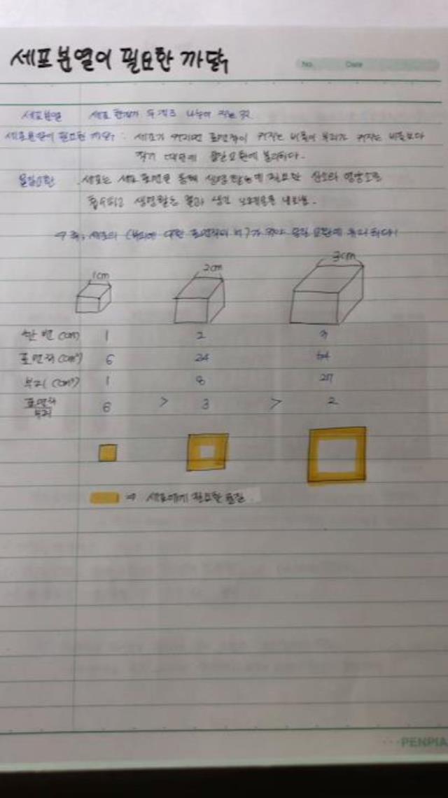 [전혜나의 과학 콘서트]1강