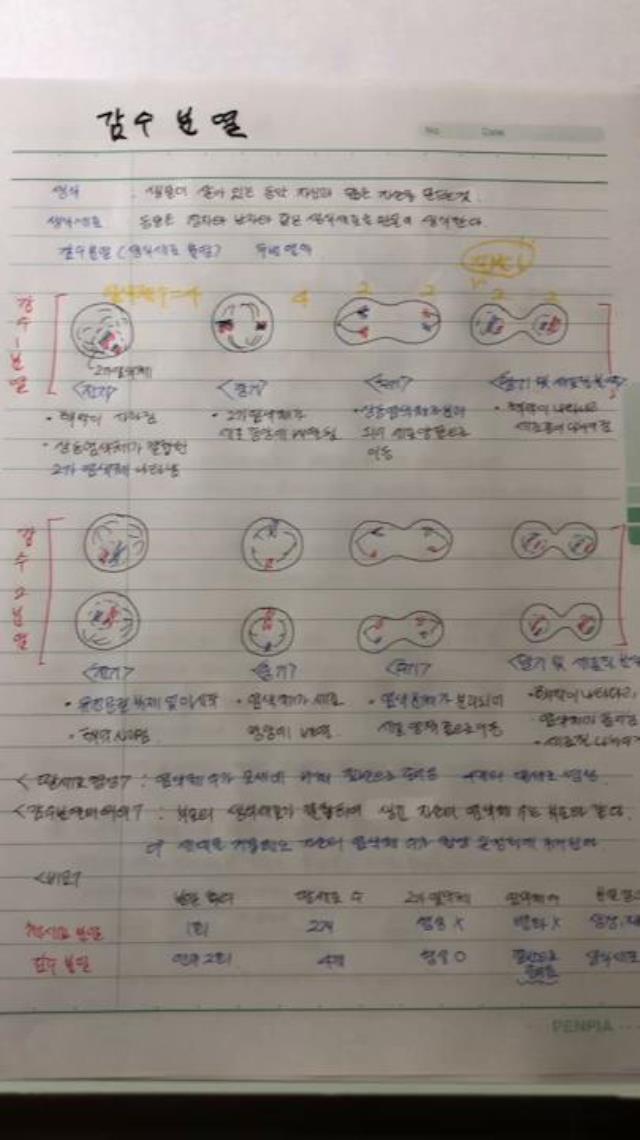 [전혜나의 과학 콘서트]3강