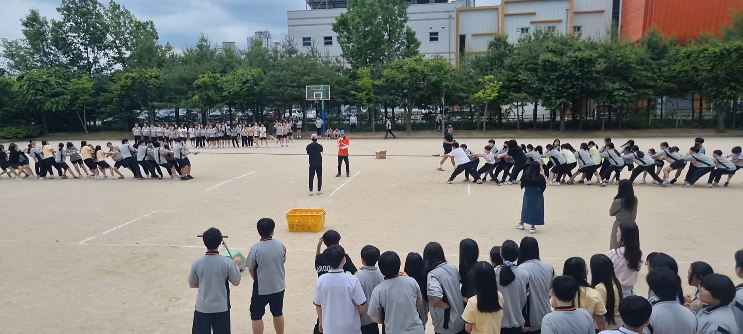 2024년 5월20일 4교시 1학년 학교스포츠클럽 줄다리기 경기